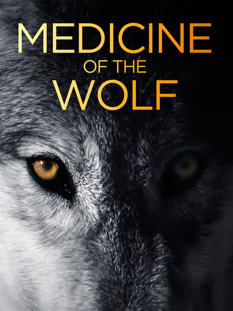 Medicine of the wolf - 2015